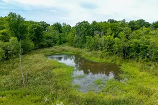 6172 Hellner Rd, Ann Arbor, MI 48105 - Photo 51