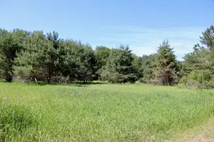 5595 75th Ave, Mecosta, MI 49332 - Photo 73