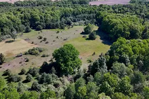 5595 75th Ave, Mecosta, MI 49332 - Photo 67