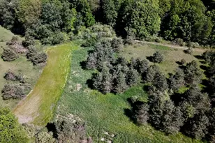 5595 75th Ave, Mecosta, MI 49332 - Photo 3