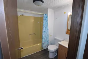 133 Niles St, Lakeview, MI 48850 - Photo 17