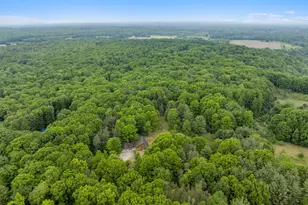 12270 Griffith Rd, Brethren, MI 49619 - Photo 5