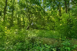 4500 Creek View Dr, Hudsonville, MI 49426 - Photo 59