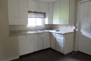 161 Palmer Ave, Colon, MI 49040 - Photo 3