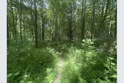 1750 Pierce Road, Quincy, MI 49082 - Photo 7