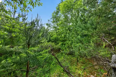 V/L S Deer Lake Road, Reed City, MI 49677 - Photo 15