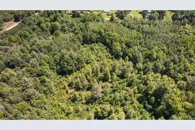 V/L S Deer Lake Road, Reed City, MI 49677 - Photo 11