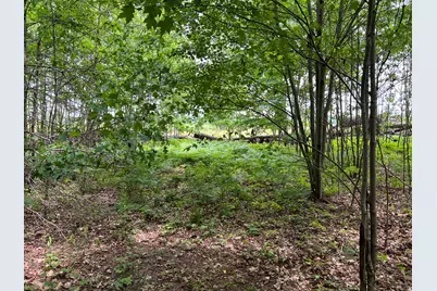 Vl Pierce Street, West Olive, MI 49460 - Photo 5