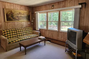 934 E 72nd St, Idlewild, MI 49642 - Photo 5