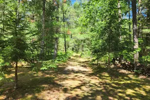934 E 72nd St, Idlewild, MI 49642 - Photo 15