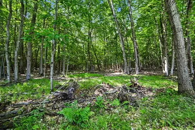 20.15 S 176th Avenue, Hesperia, MI 49421 - Photo 7