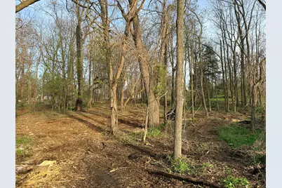 Ernest Street, Brooklyn, MI 49230 - Photo 11