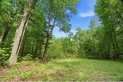 0 Red Arrow Highway, Lakeside, MI 49116 - Photo 7