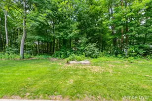 6681 Wood Hollow Ct, Allendale, MI 49401 - Photo 57