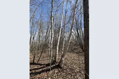 Vl Curtisville Road, Mio, MI 48647 - Photo 33