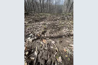 Vl Curtisville Road, Mio, MI 48647 - Photo 87