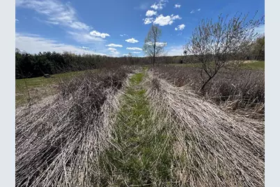 Vl Curtisville Road, Mio, MI 48647 - Photo 59