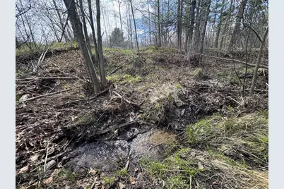 Vl Curtisville Road, Mio, MI 48647 - Photo 139