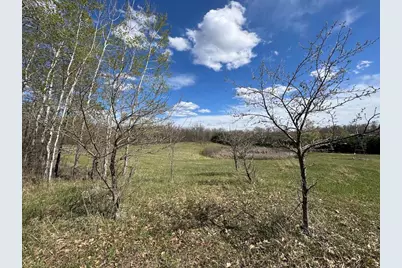 Vl Curtisville Road, Mio, MI 48647 - Photo 73
