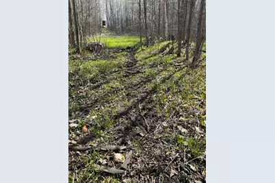 Vl Curtisville Road, Mio, MI 48647 - Photo 91