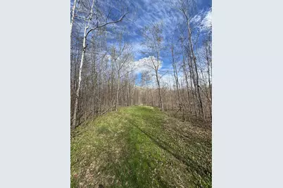 Vl Curtisville Road, Mio, MI 48647 - Photo 105