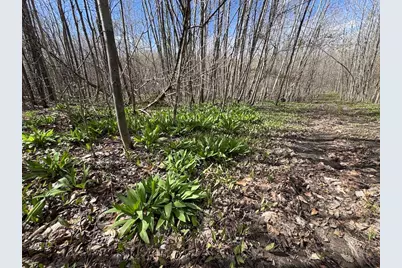 Vl Curtisville Road, Mio, MI 48647 - Photo 89