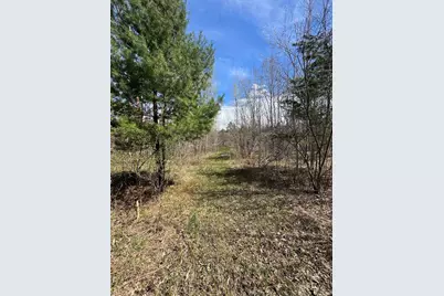 Vl Curtisville Road, Mio, MI 48647 - Photo 45