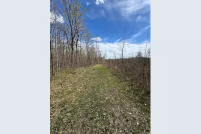 Vl Curtisville Road, Mio, MI 48647 - Photo 81