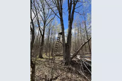 Vl Curtisville Road, Mio, MI 48647 - Photo 125