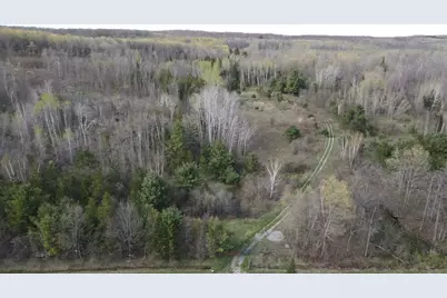 Vl Curtisville Road, Mio, MI 48647 - Photo 3