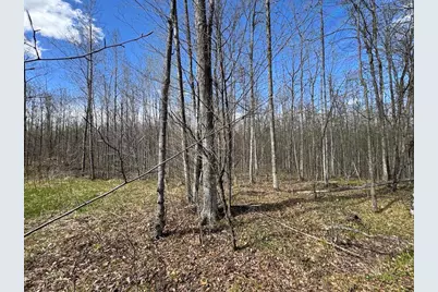 Vl Curtisville Road, Mio, MI 48647 - Photo 83