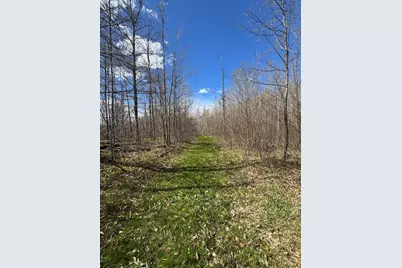 Vl Curtisville Road, Mio, MI 48647 - Photo 85
