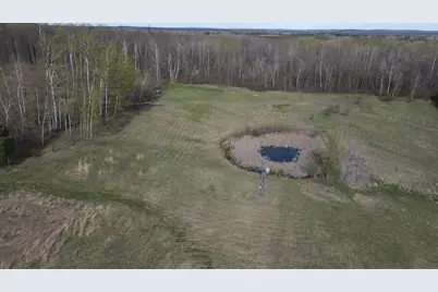 Vl Curtisville Road, Mio, MI 48647 - Photo 15