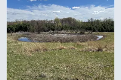 Vl Curtisville Road, Mio, MI 48647 - Photo 63