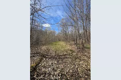 Vl Curtisville Road, Mio, MI 48647 - Photo 37