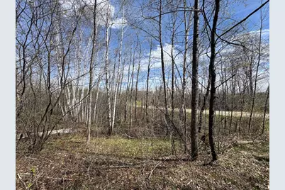 Vl Curtisville Road, Mio, MI 48647 - Photo 25