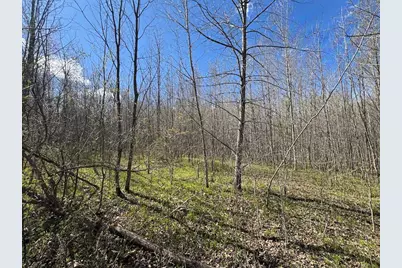Vl Curtisville Road, Mio, MI 48647 - Photo 93