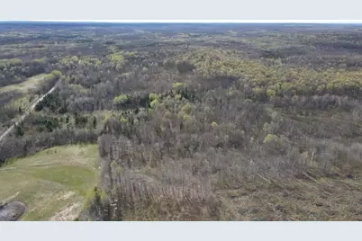 Vl Curtisville Road, Mio, MI 48647 - Photo 9