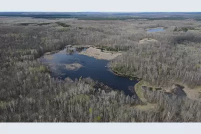Vl Curtisville Road, Mio, MI 48647 - Photo 19