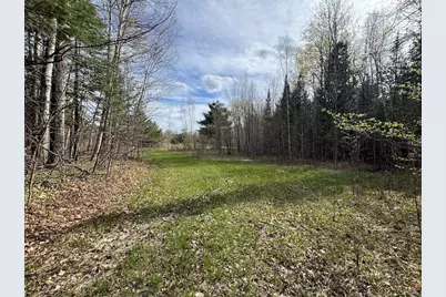 Vl Curtisville Road, Mio, MI 48647 - Photo 129