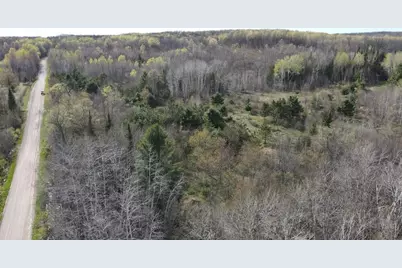 Vl Curtisville Road, Mio, MI 48647 - Photo 21