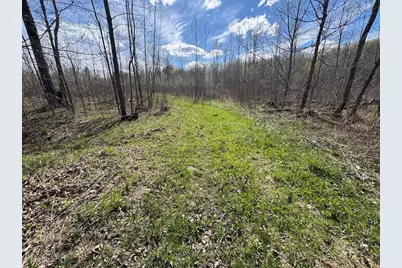 Vl Curtisville Road, Mio, MI 48647 - Photo 117