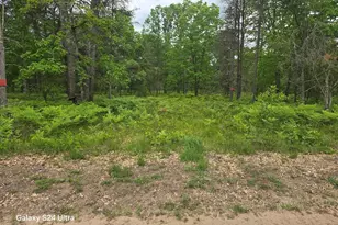 0000 S Forman Rd, Baldwin, MI 49304 - Photo 1