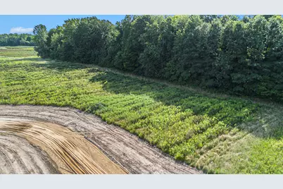 59385 Benny Court #Parcel 2, Grand Junction, MI 49056 - Photo 5
