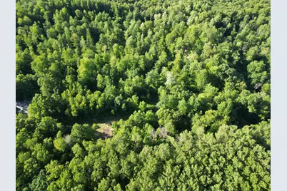 5170 Rocky Top Parcel B Lane, Pierson, MI 49339 - Photo 7