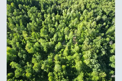5170 Rocky Top Parcel B Lane, Pierson, MI 49339 - Photo 3