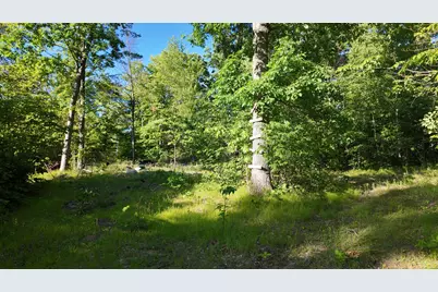 5170 Rocky Top Parcel C Lane, Pierson, MI 49339 - Photo 11