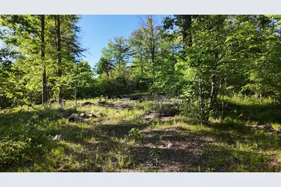 5170 Rocky Top Parcel C Lane, Pierson, MI 49339 - Photo 9