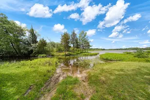 303 Cranberry Lake Rd, Jackson, MI 49201 - Photo 31