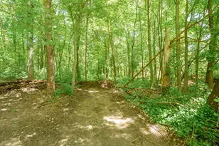 4445 Sassafras Ln, Battle Creek, MI 49017 - Photo 43